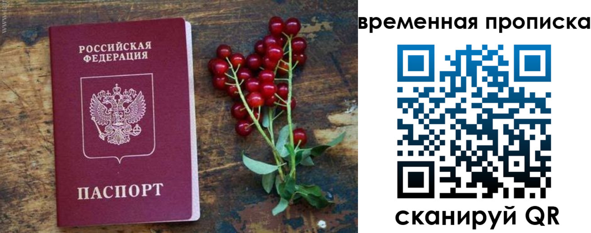 временная регистрация гарантия в Горняке